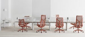 Hermanmiller 16