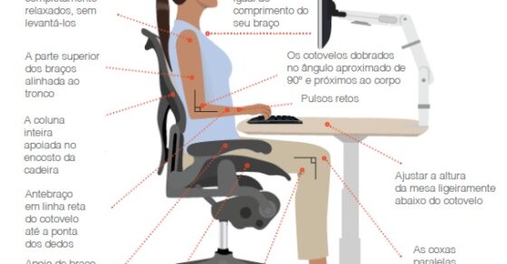 Guia para uma posição ergonômica sentada - Novo Ambiente | Catálogo