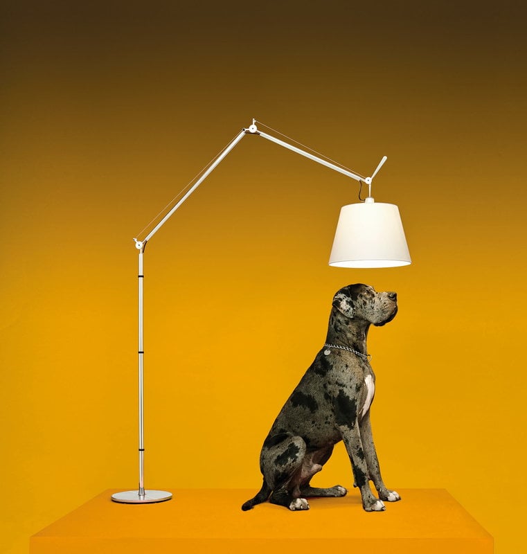 Tolomeo-mega_floor_low_1